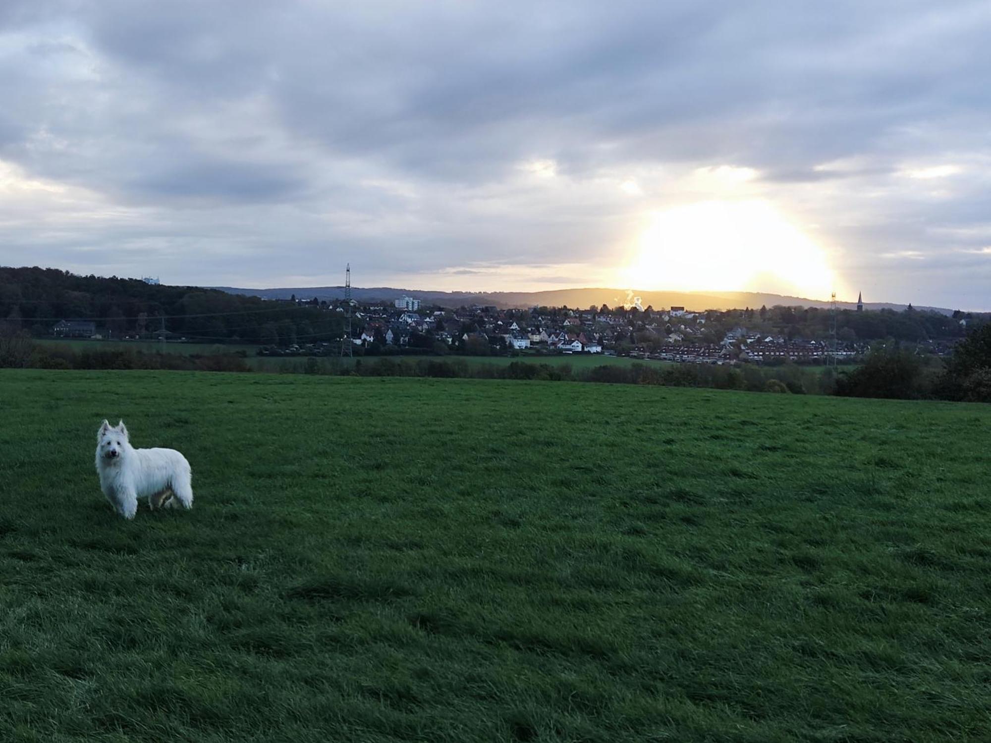 Gruene Oase Nr.2, Nahe Uni Und Technologie Quartier Lägenhet Bochum Exteriör bild
