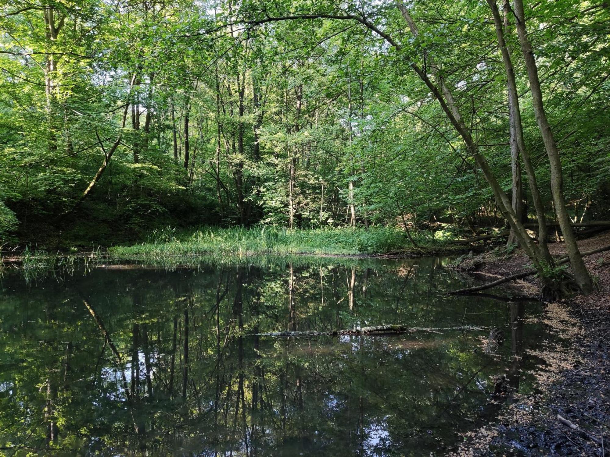 Gruene Oase Nr.2, Nahe Uni Und Technologie Quartier Lägenhet Bochum Exteriör bild